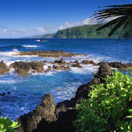 Apartamentos Bons e Baratos para Alugar em Mauí no Havai